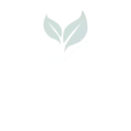 Join the LUCI Volunteer Strategy & Communications Team