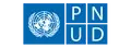 Programme Assistant,