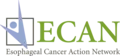 Development and Communications Manager