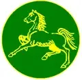 Chair of the Board of Trustees for Windsor Horse Rangers