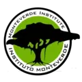 Director/a Ejecutivo/a