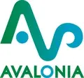 Executive Director