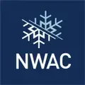 Volunteer & Communications Coordinator