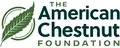 Chief Operating Officer