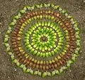 Vegetable Field & Crew Lead Position at Three Springs Community Farm