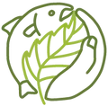 Human Resources Director