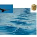 ATUX FOREVER-RESTORING ATTUANS FREEDOM