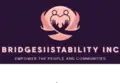BRIDGESIISTABILITY INC