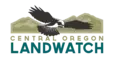Associate Communications Manager
