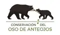 Director (a) de Conservación e Investigación