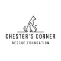 Intake Coordinator (Remote, Dog & Cat Rescue)