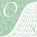Associate Director, Environment