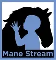 Volunteer Coordinator