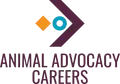 Chief Operating Officer (COO)