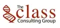 Business Consulting Services - Technology Strategy Consulting Manager