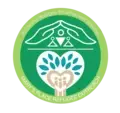 Lead Case Manager