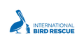 Development Coordinator