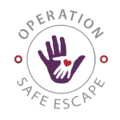 Domestic Violence Charity Volunteer Coordinator