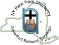 Teen Mentoring Program Coordinator