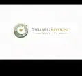 Founding Board Member — Stellaris Keystone Foundation, Inc.