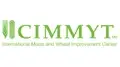 Head of Talent Management