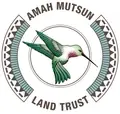 Director of Finance and Operations
