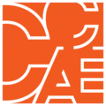 Executive Director, Cambridge Center for Adult Education