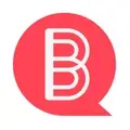 Chief Technology Officer (CTO) – Project Bridget