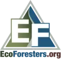 Development Director