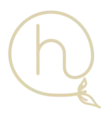 Development Director