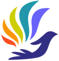 Defensive Program Director