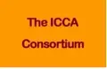 Financial Co-Coordinator