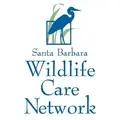 Volunteer with wild animals at Santa Barbara Wildlife Care Network!