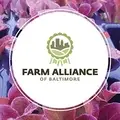 Collective Sales Manager