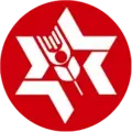 Executive Director, Camp Gilboa