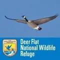 Deer Flat Paddle Clean Up