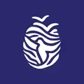 Executive Director