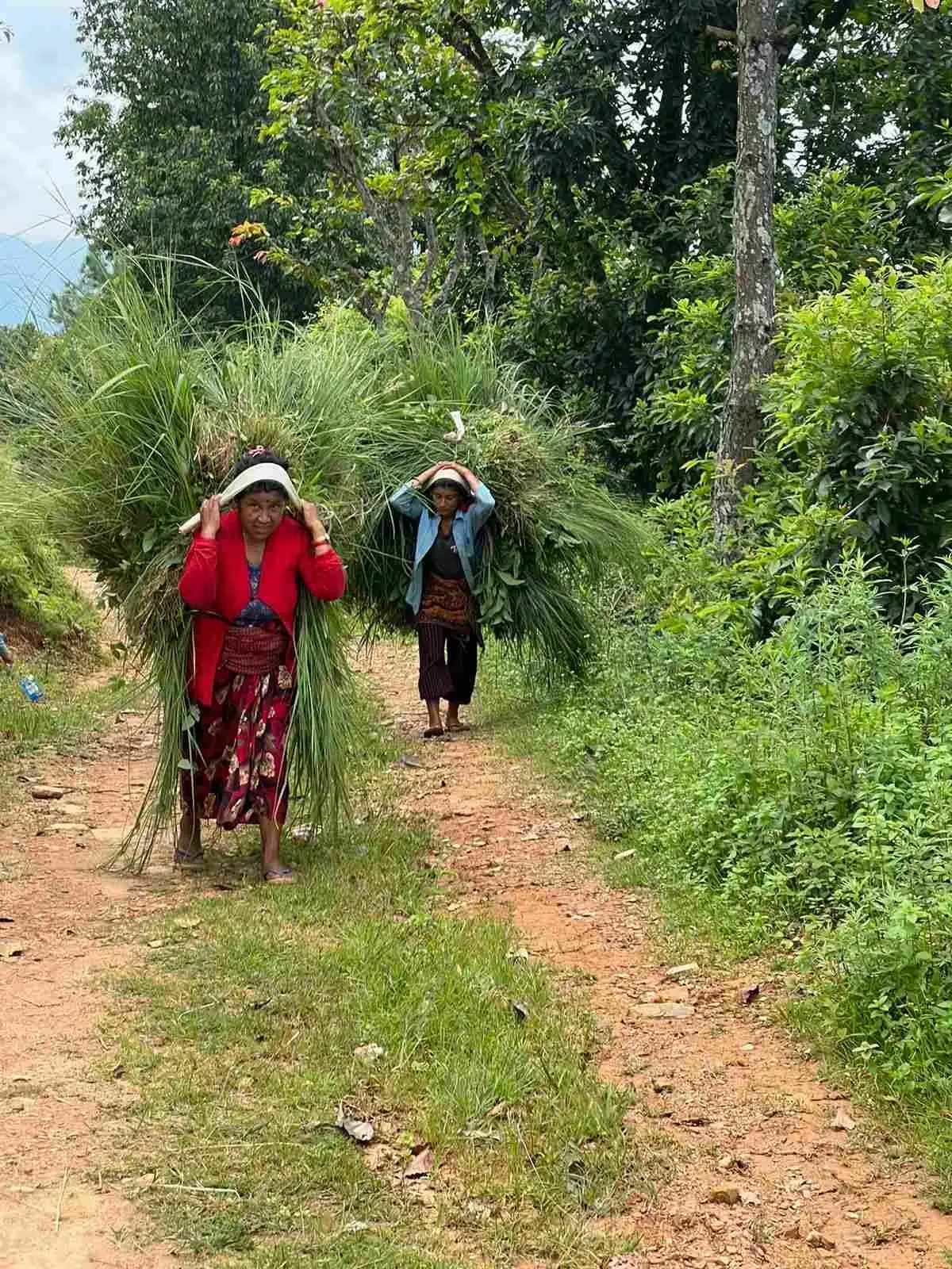 Organic Farming and Permaculture