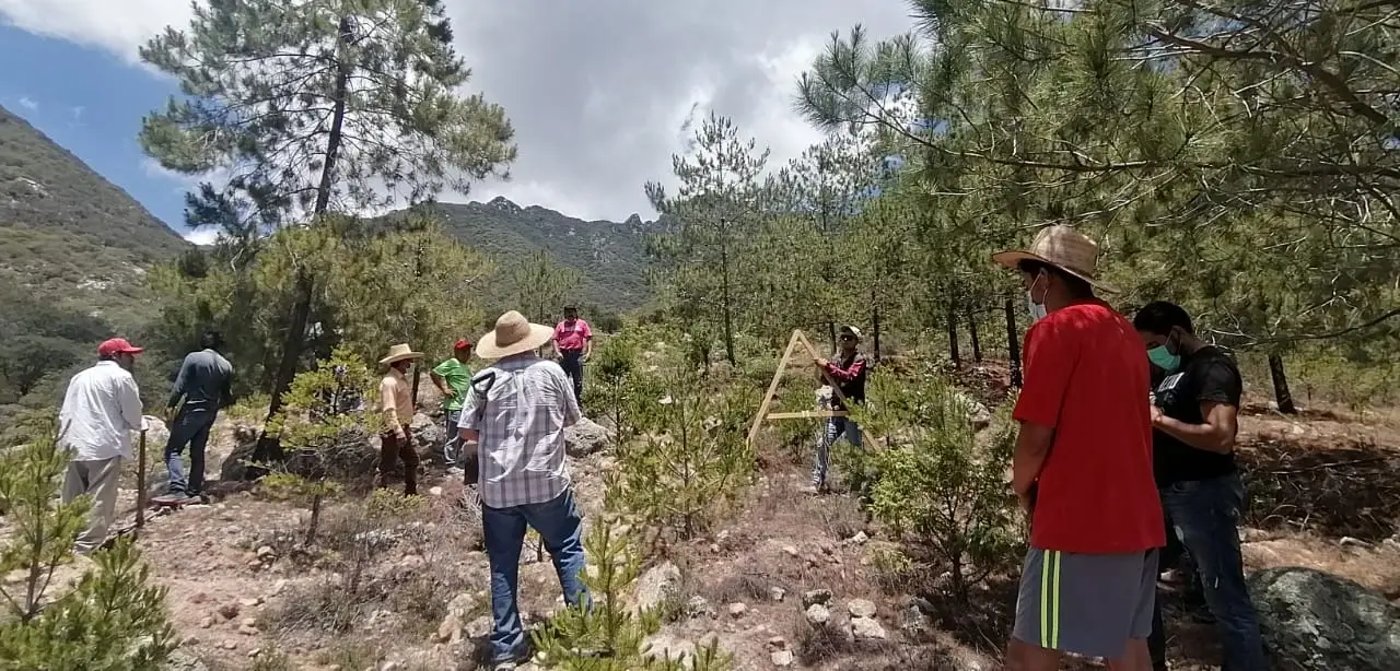 ENVIRONMENTAL RESTORATION & COMMUNITY RESILIENCE - Be part of an Initiative which aims to improve the quality of life of people in Hidalgo
