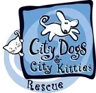 Social Media Marketing Assistant