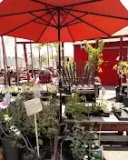 Volunteer at Ploughshares Nursery