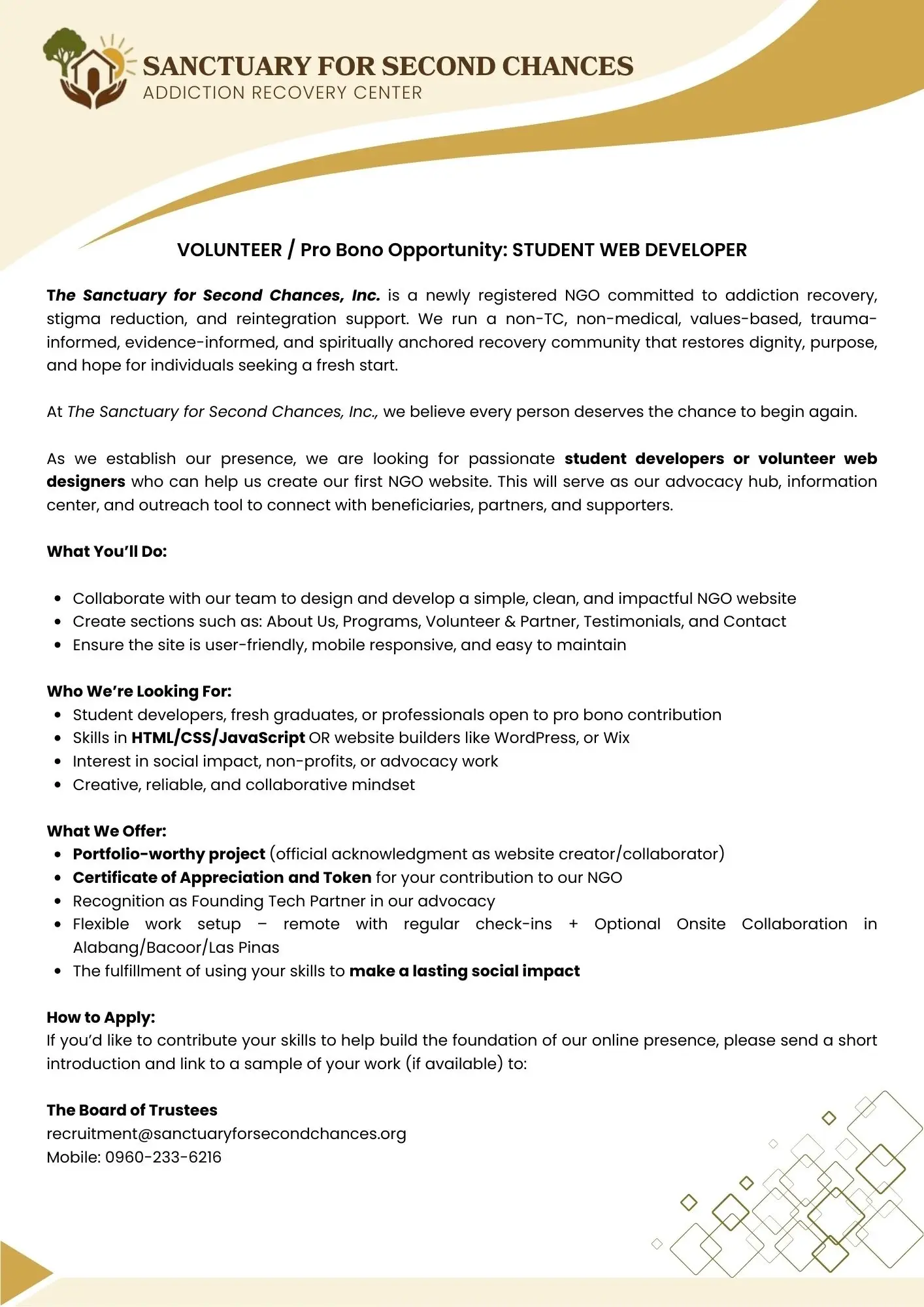 VOLUNTEER / Pro Bono Opportunity: STUDENT WEB DEVELOPER