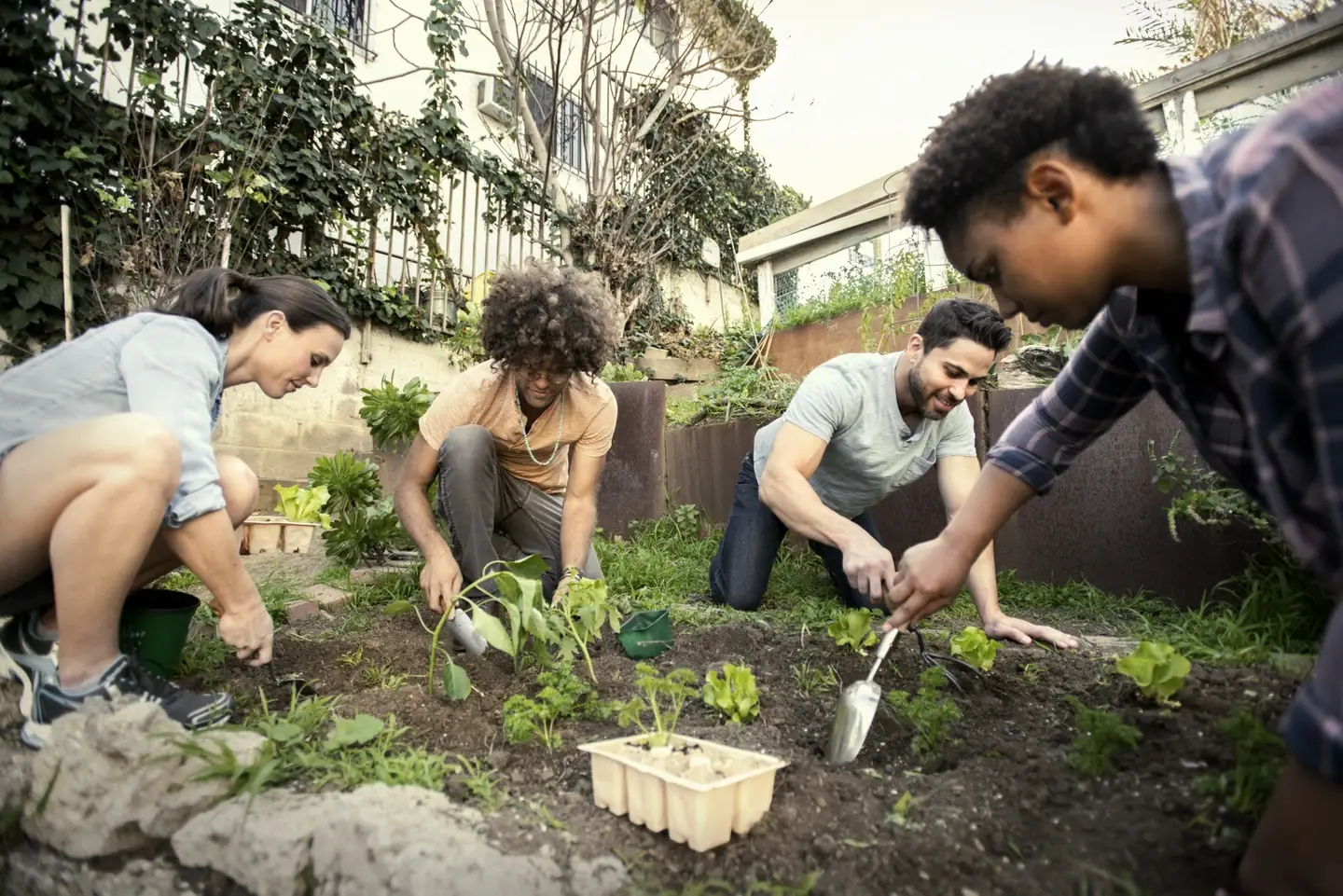 Pessoas cultivando uma horta