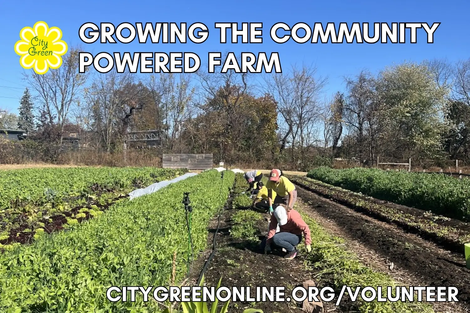 Growing the Community Powered Farm - South Branch, Mt. Olive NJ