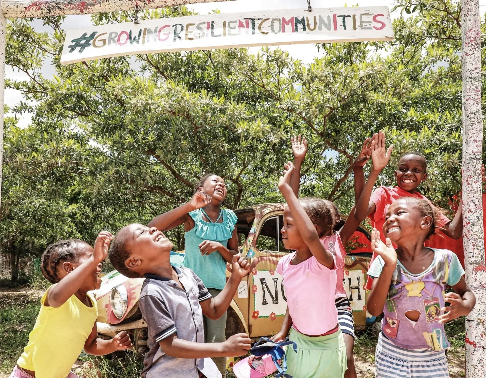 Community and Conservation Volunteer - Greater Kruger area (Immersive Experience)