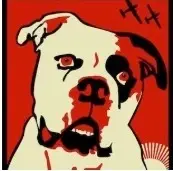 EMERGENCY FOSTERS NEEDED!! Foster a Shelter Dog