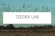 Logo de Tzedek Lab