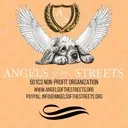 Logo of ANGELS OF THE STREETS