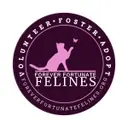 Logo of FOREVER FORTUNATE FELINES