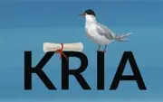 Logo of KRIA Icelandic Constitution Archive